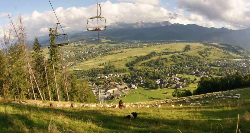 Zakopane - Harenda 13E Leilighet Eksteriør bilde