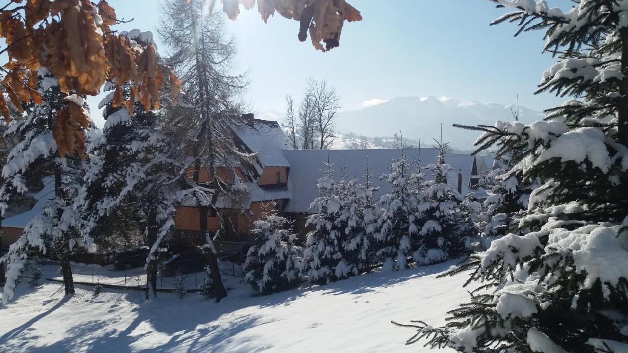 Zakopane - Harenda 13E Leilighet Eksteriør bilde